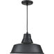 R Series 1 Light 14 inch Satin Black Outdoor Pendant